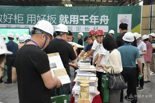 好板迎亞運(yùn) 綠色工廠行 千年舟澳思柏恩邳州工廠品質(zhì)之旅